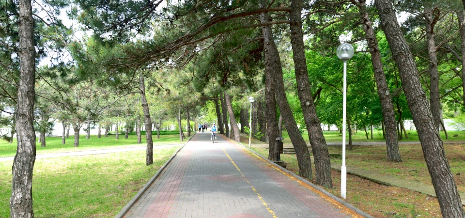 Велосипедные дорожки и места для прогулок