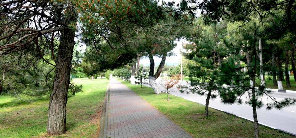 Дорога с пляжа к Апартаментам "Gorizont"